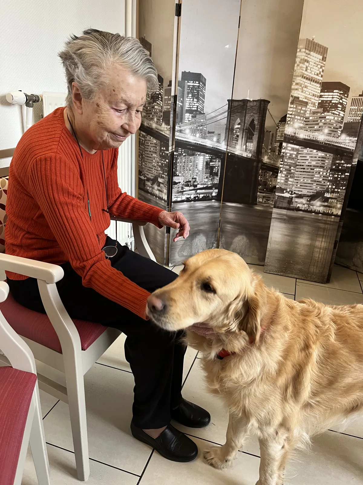 LA MEDIATION ANIMALE AU COEUR DU BIEN ETRE