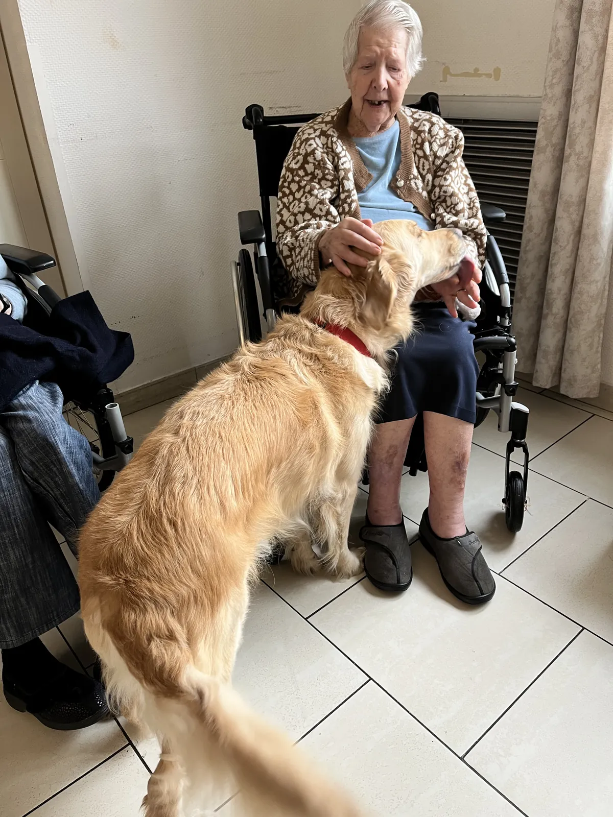 LA MEDIATION ANIMALE AU COEUR DU BIEN ETRE