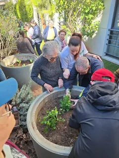 Plantation de légumes