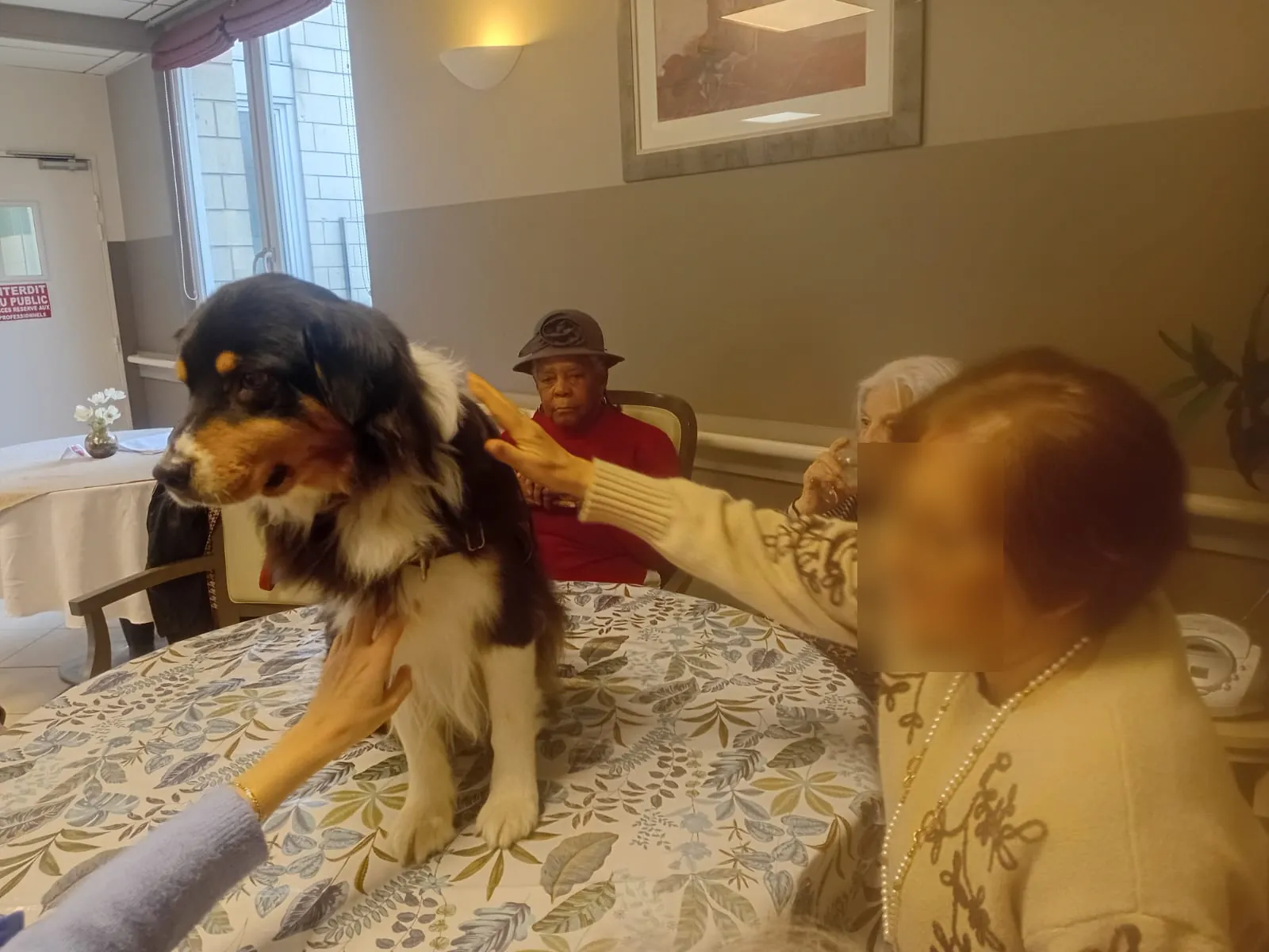 Une semaine d’animations au service du bien-être des résidents