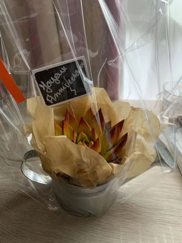 Fête des anniversaires de septembre !