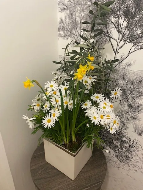 C'EST BIENTOT LE PRINTEMPS 
