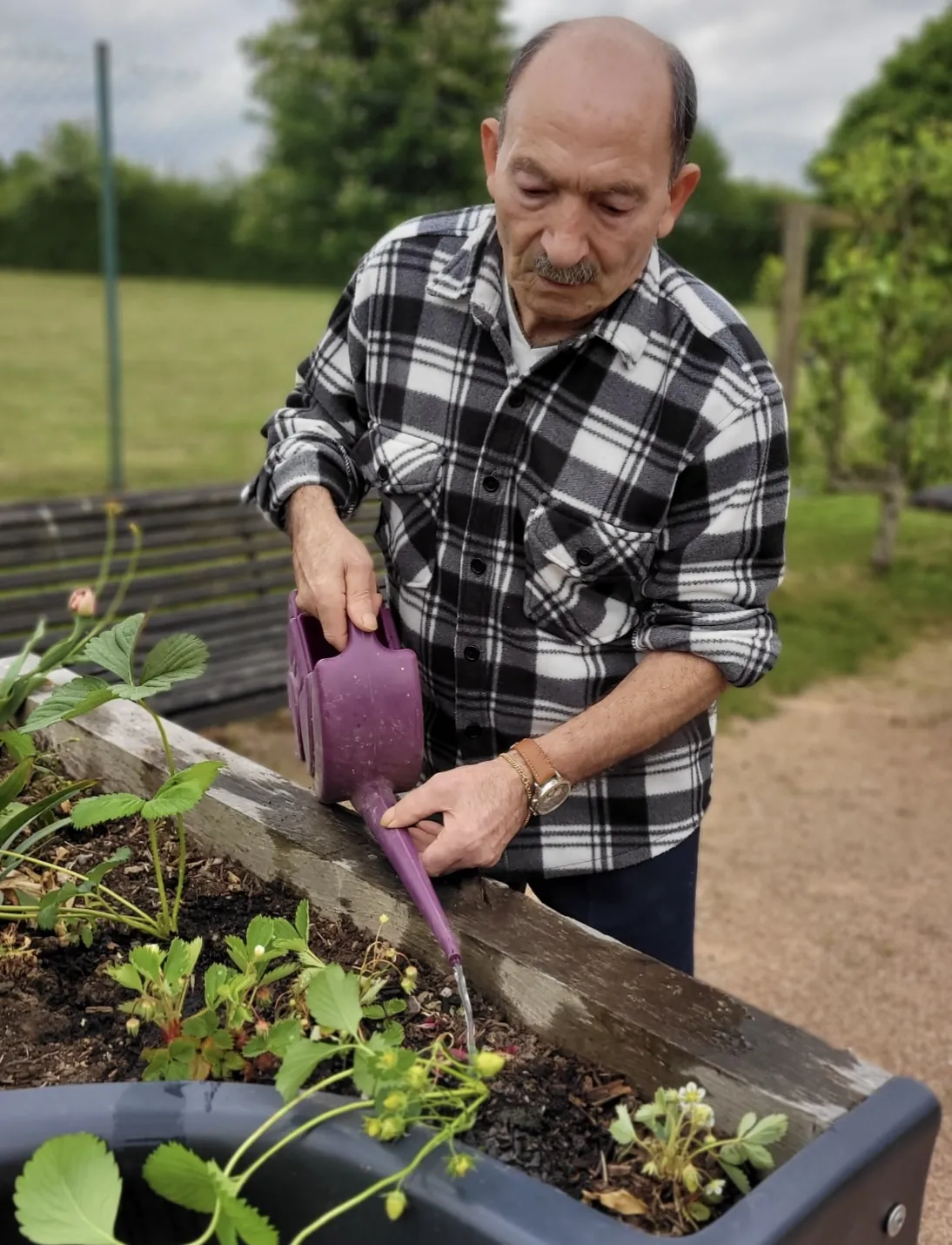 Le jardinage au Grand Jardin, une activité enrichissante pour le corps et l'esprit 