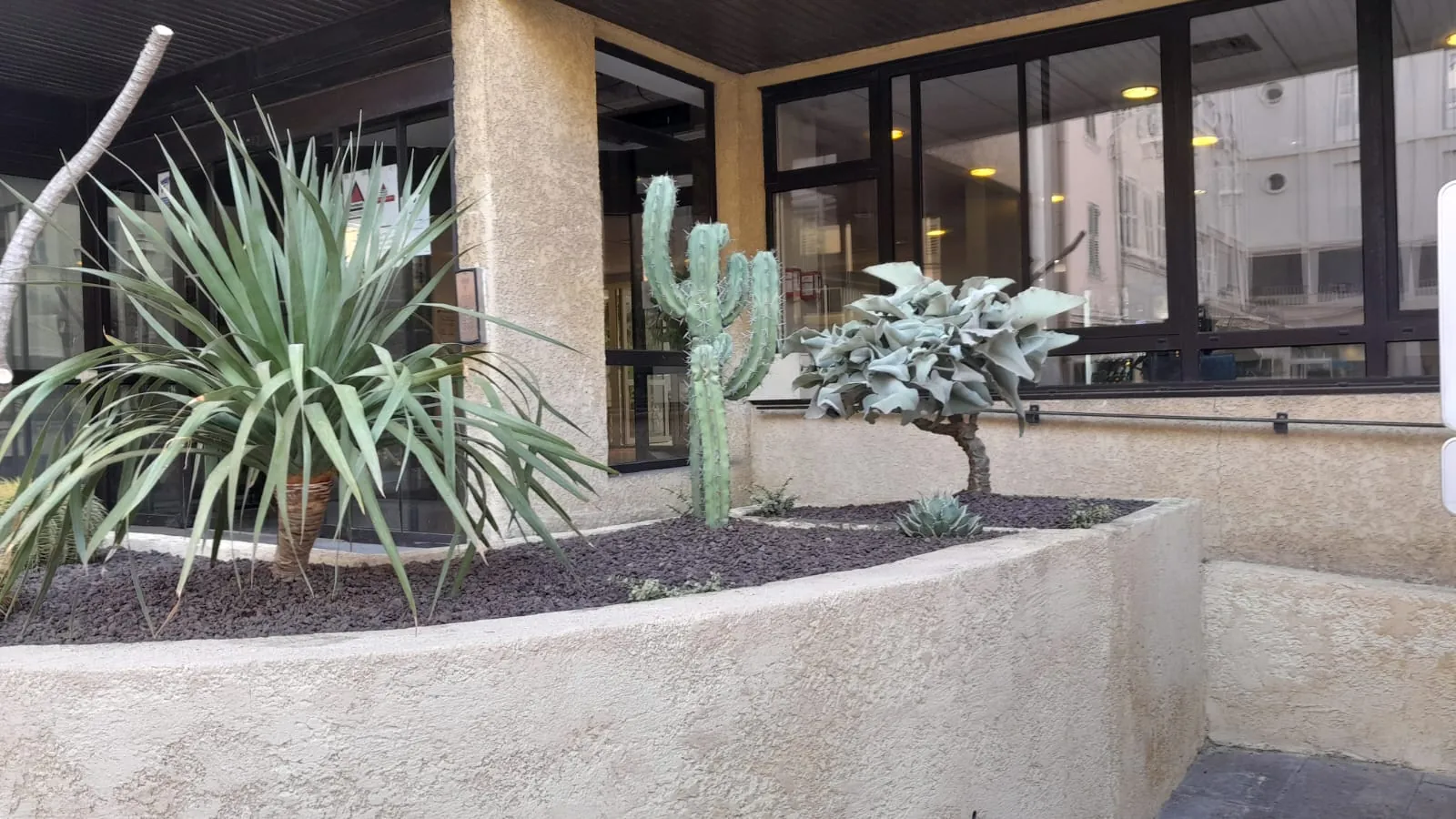 Une jardinière de plantes grasses embellit la résidence 
