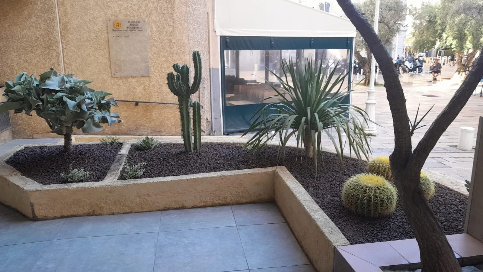 Une jardinière de plantes grasses embellit la résidence 