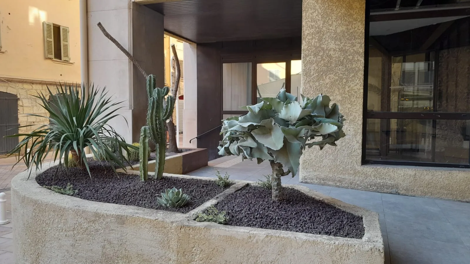Une jardinière de plantes grasses embellit la résidence 