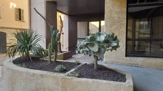 Une jardinière de plantes grasses embellit la résidence 