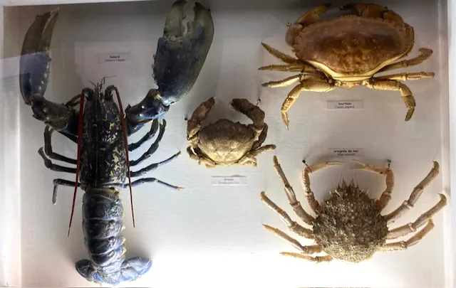 Formidable lieu de découverte, unique !