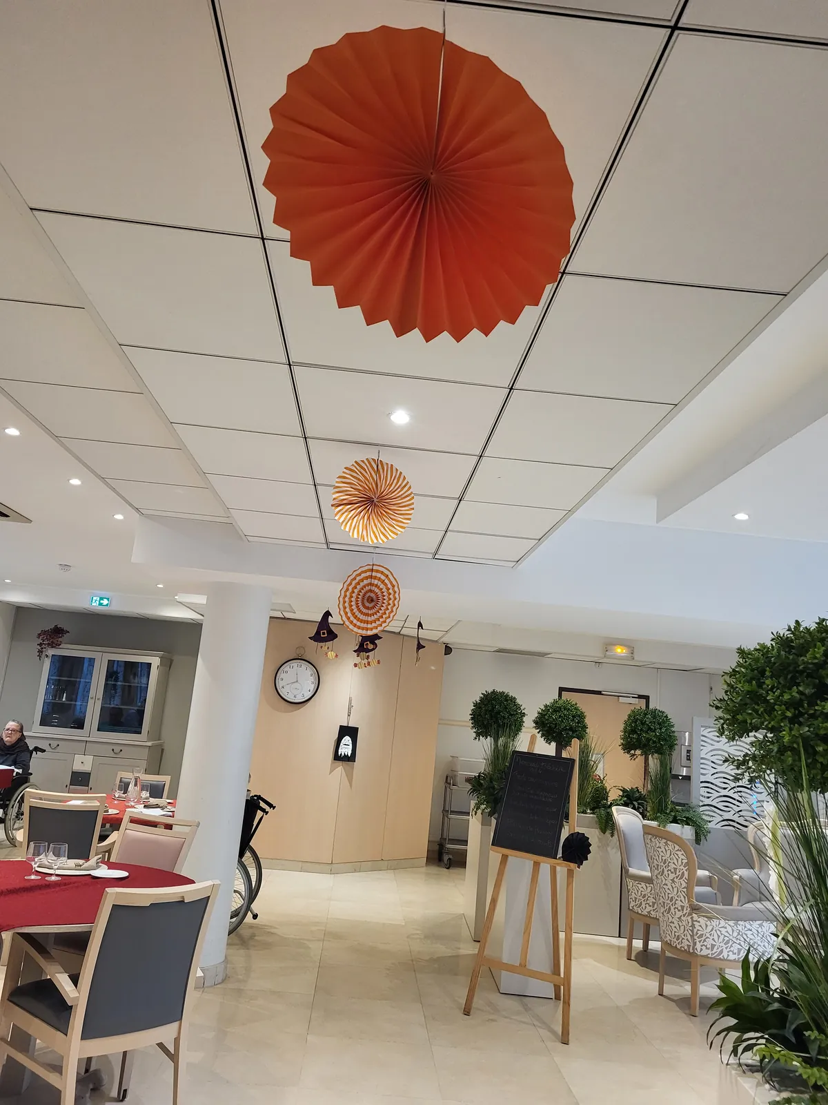 Décorations d'Halloween 2024 !