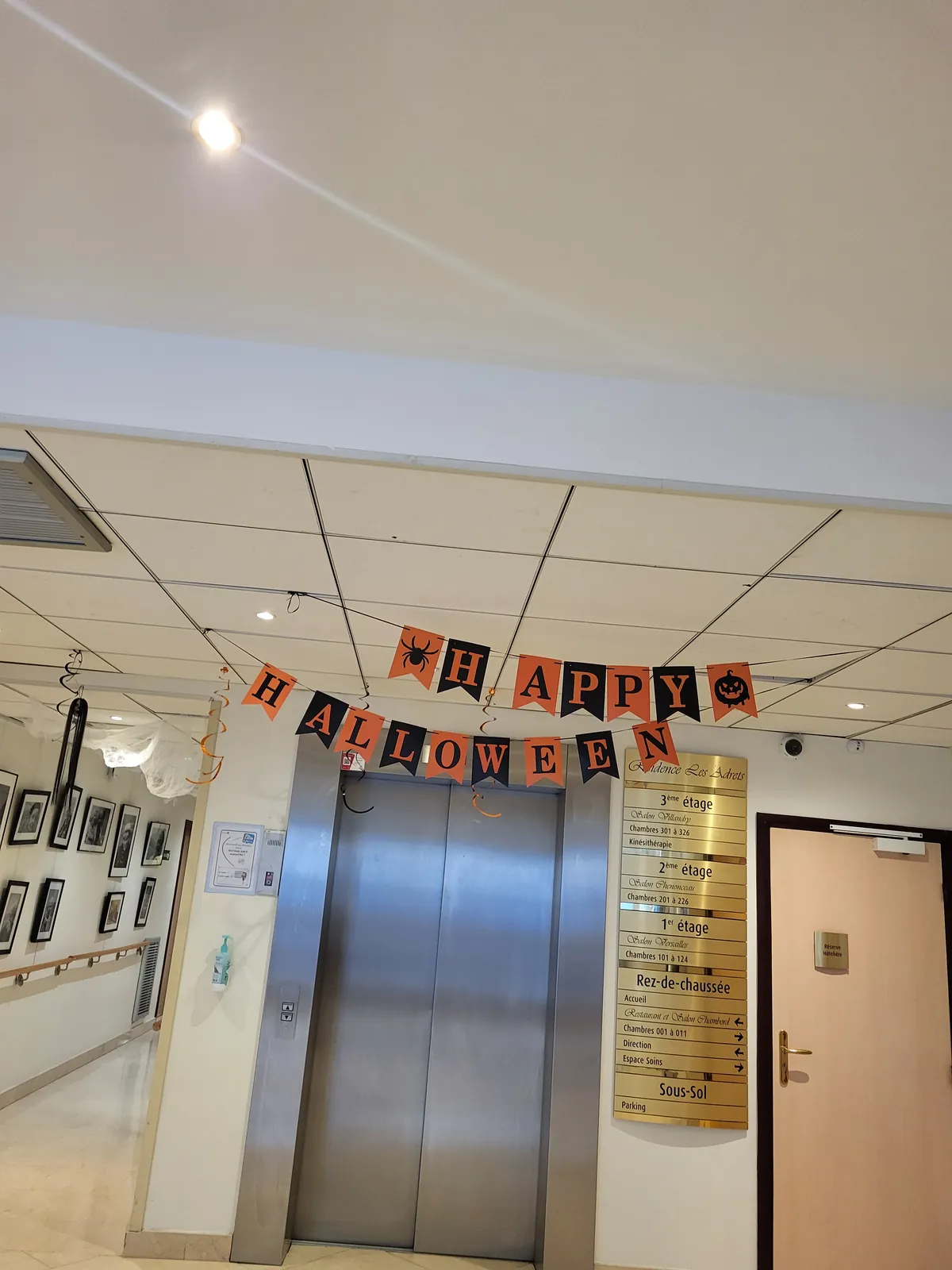 Décorations d'Halloween 2024 !