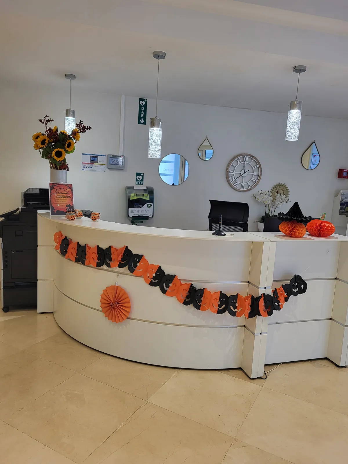 Décorations d'Halloween 2024 !