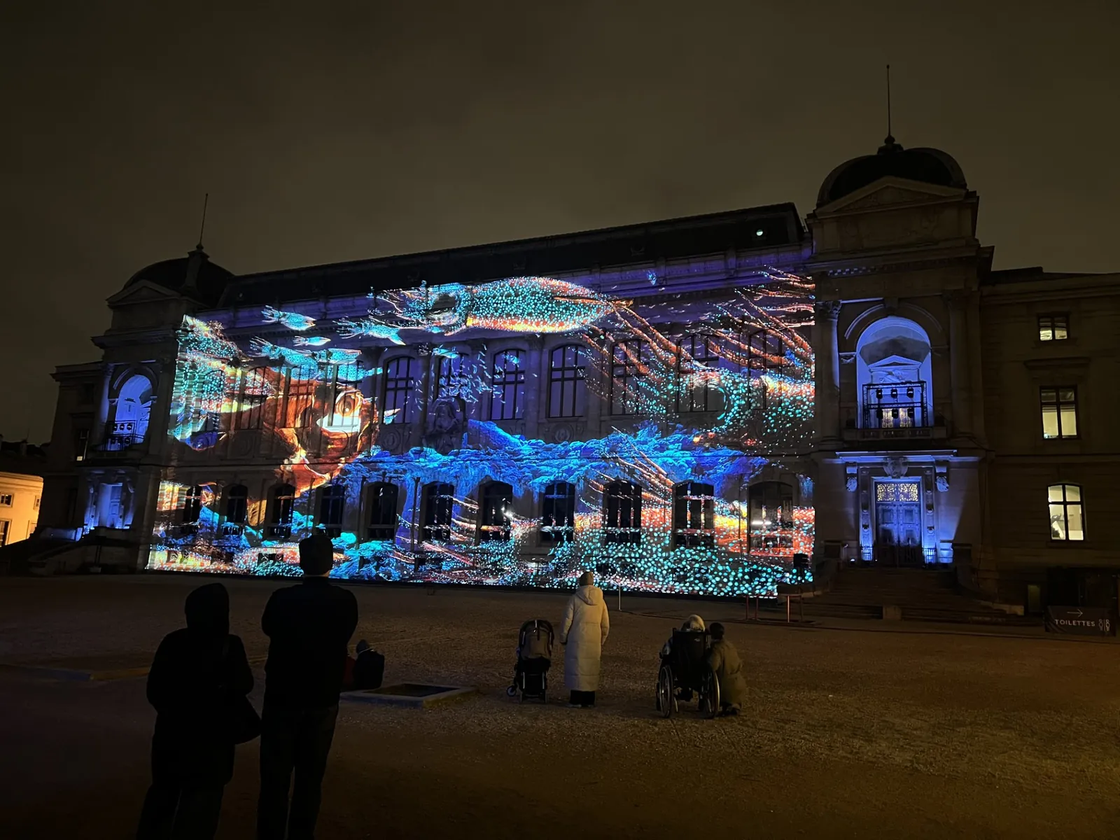 En voie d'illumination : Lumières de la nature