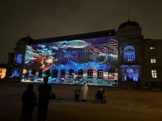 En voie d'illumination : Lumières de la nature