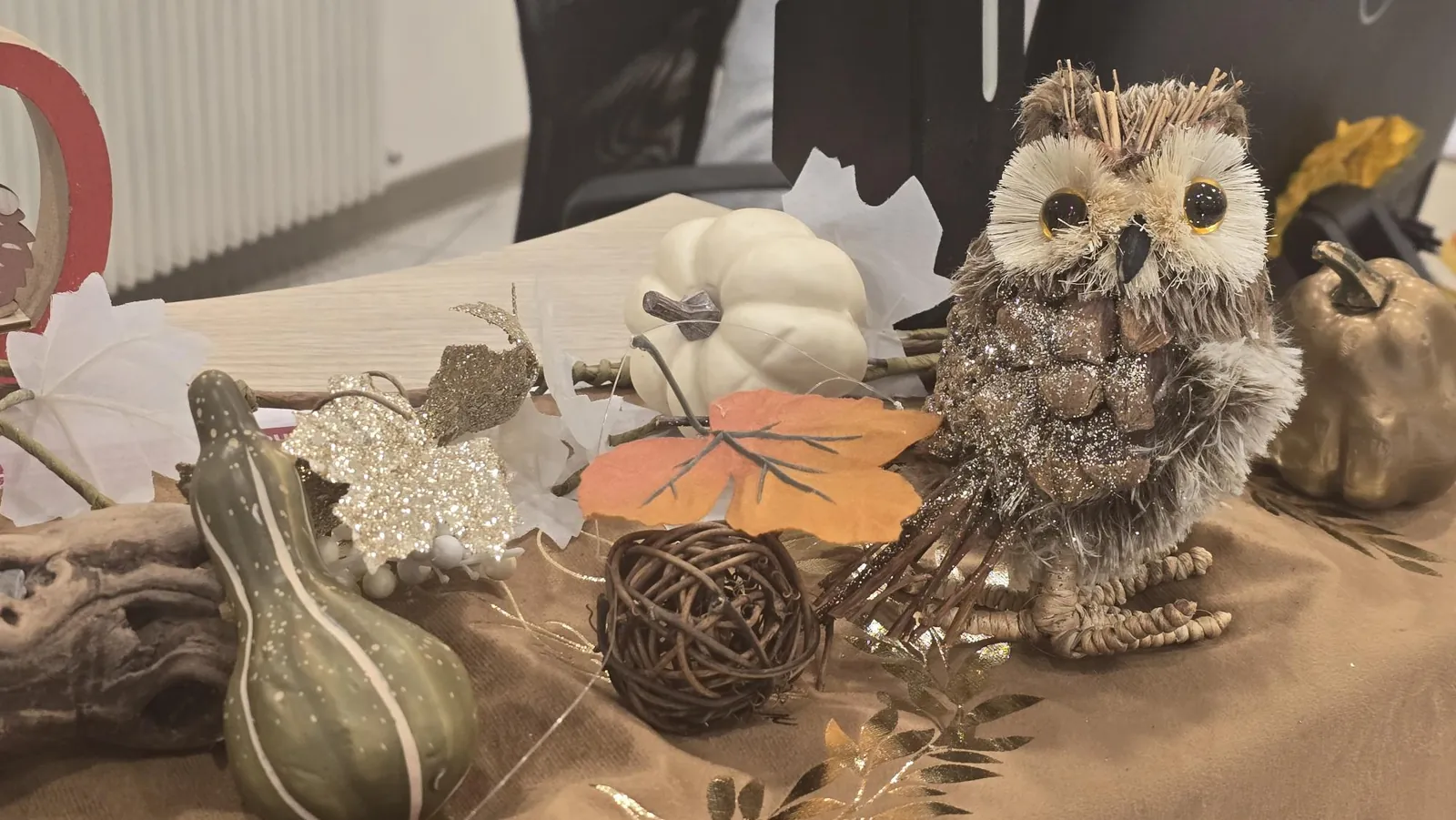 Citrouilles, champignons et feuilles séchées 