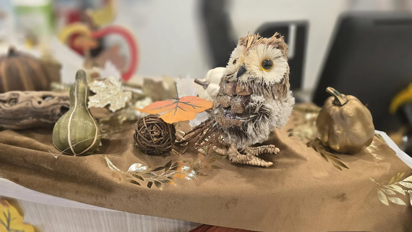 Citrouilles, champignons et feuilles séchées 