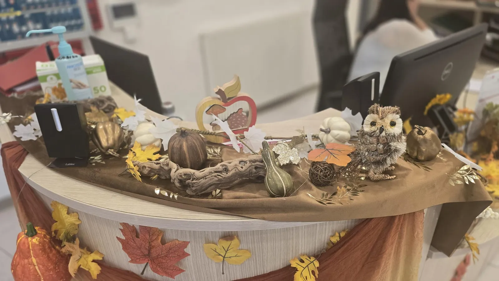 Citrouilles, champignons et feuilles séchées 