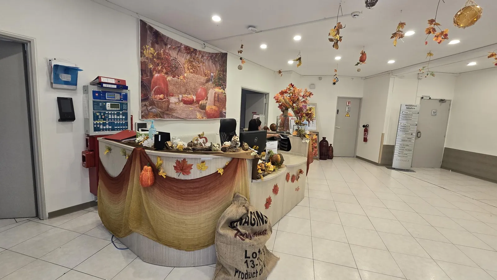 Citrouilles, champignons et feuilles séchées 