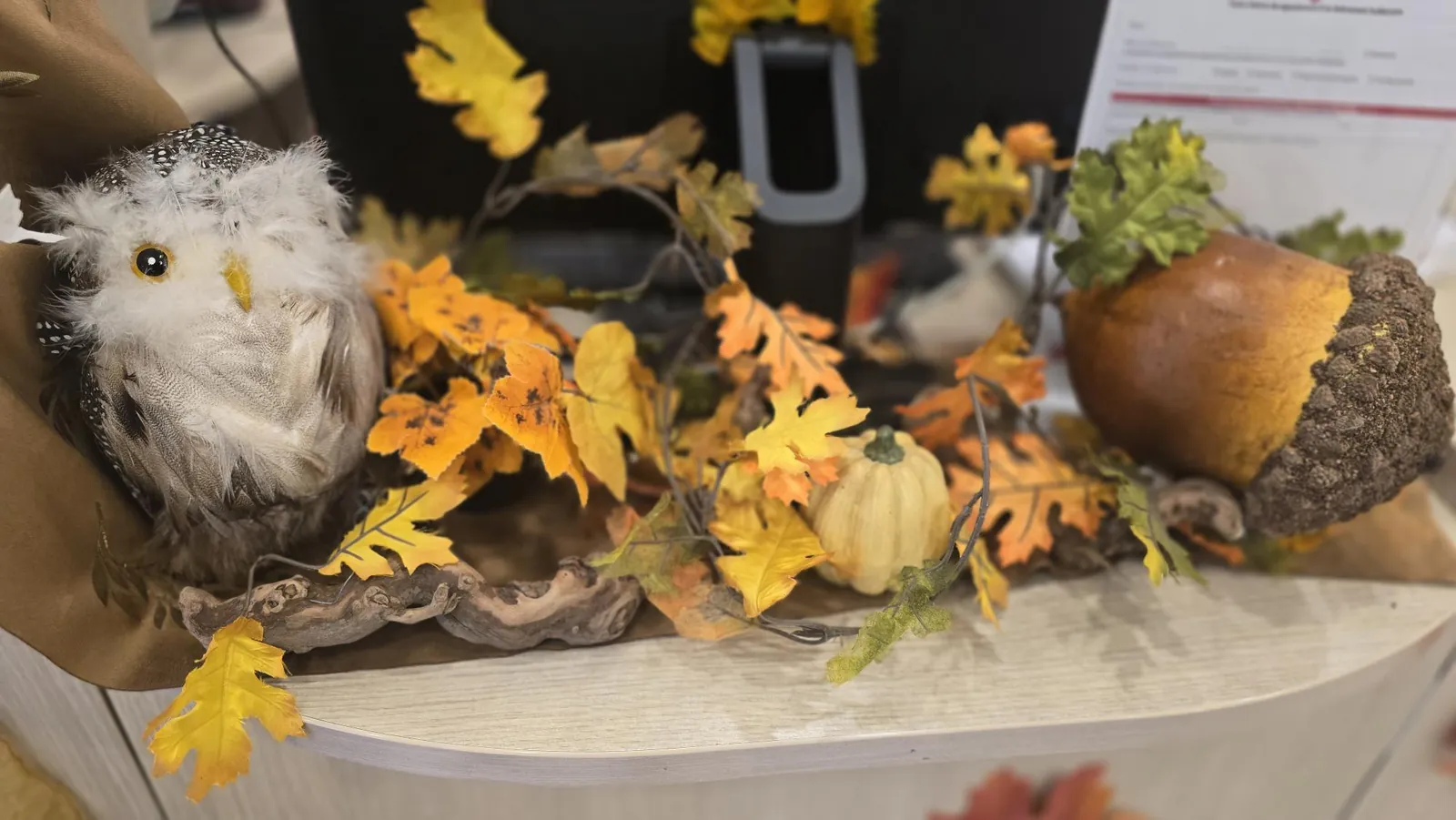 Citrouilles, champignons et feuilles séchées 