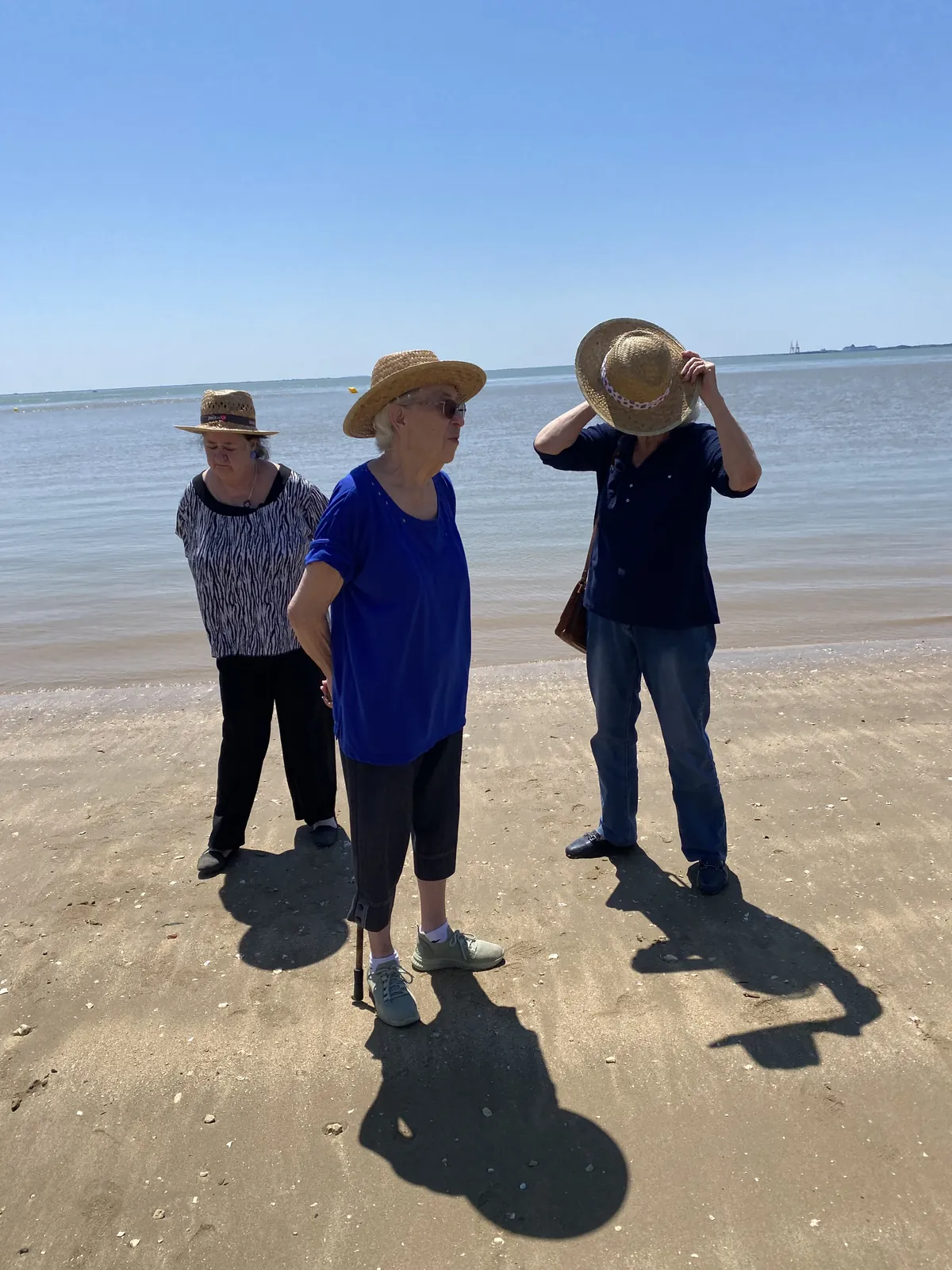 Sorties plage + voile