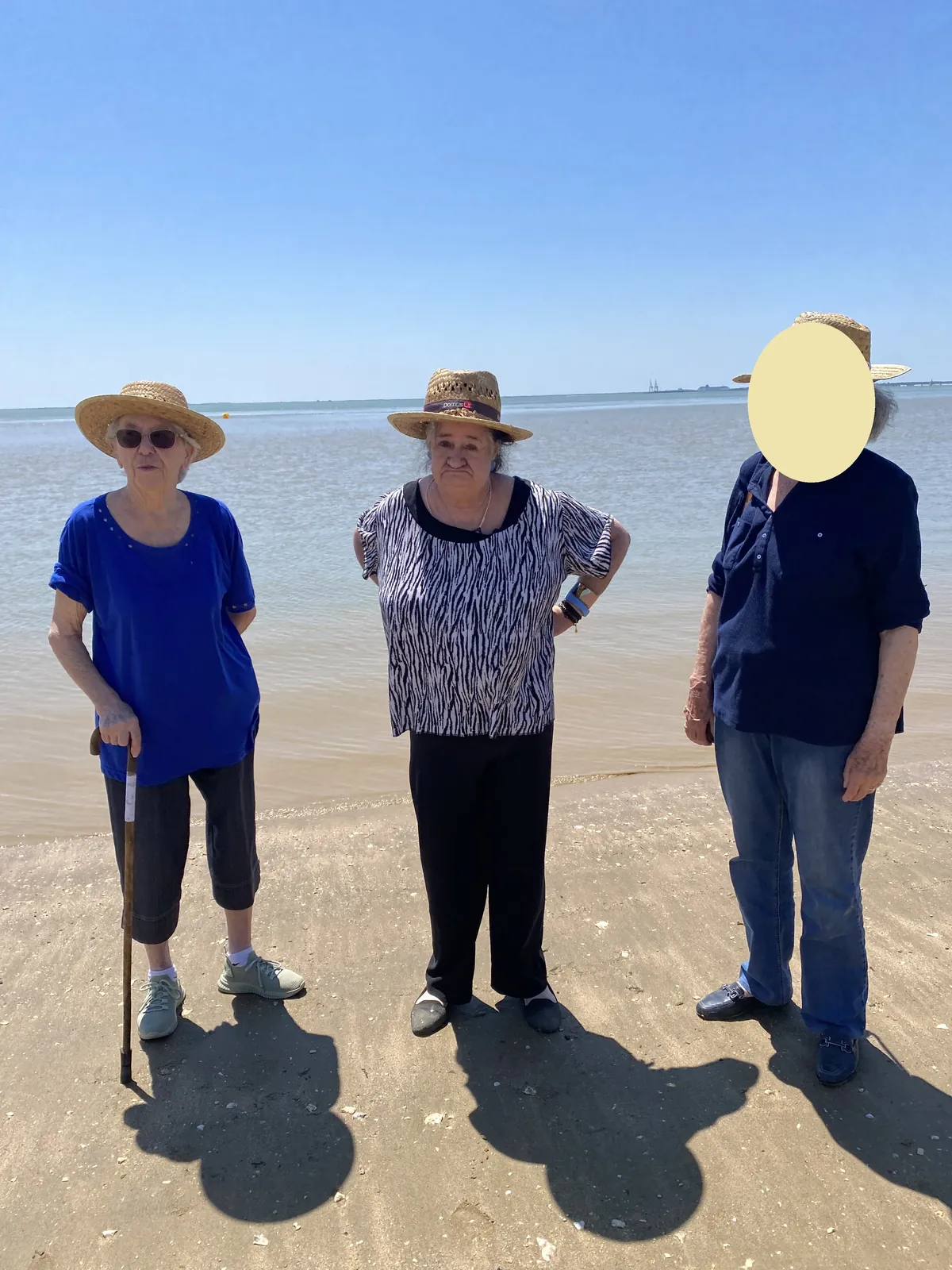 Sorties plage + voile
