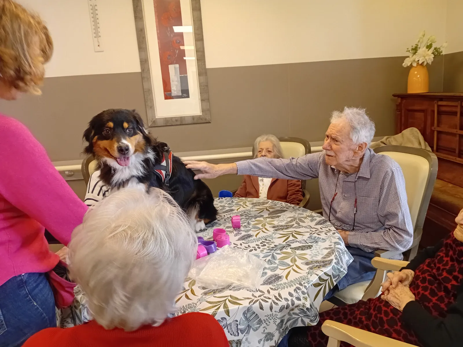 Des journées animées et pleines de vie à l’EHPAD DomusVi Argenteuil