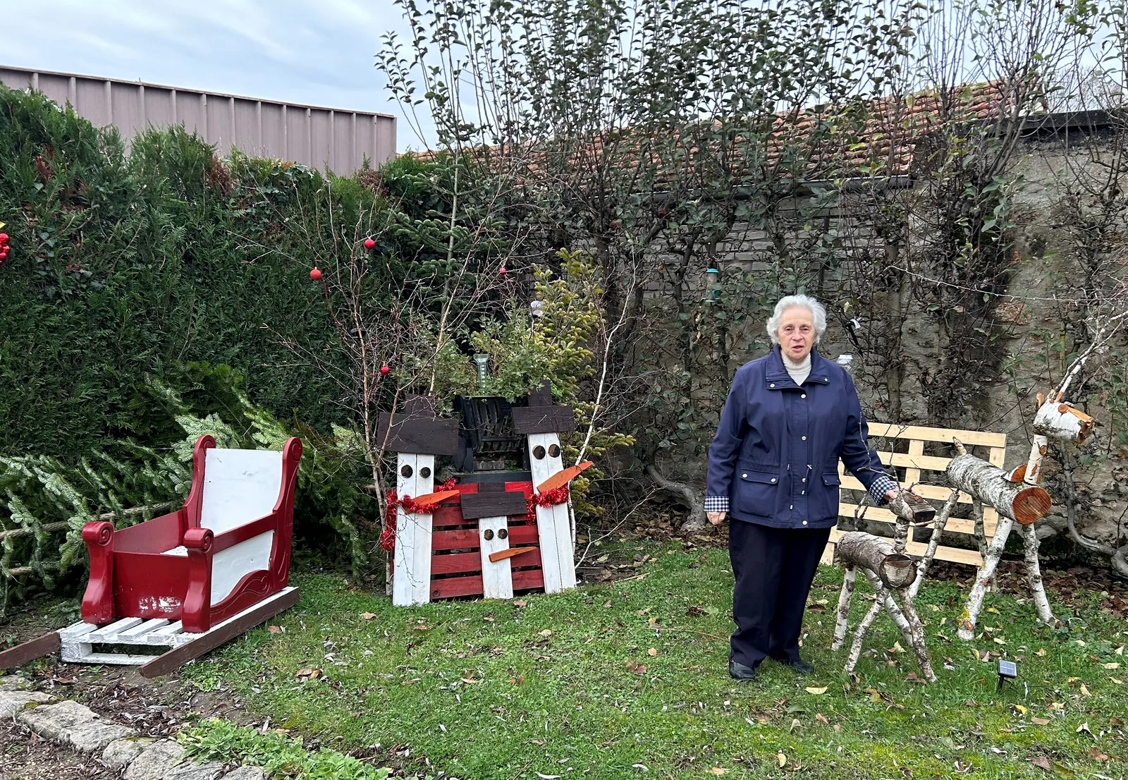 Sortie pour l'achat des sapins et Marché de Noel