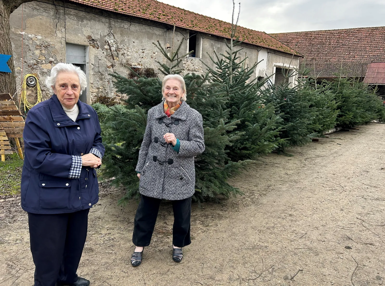 Sortie pour l'achat des sapins et Marché de Noel