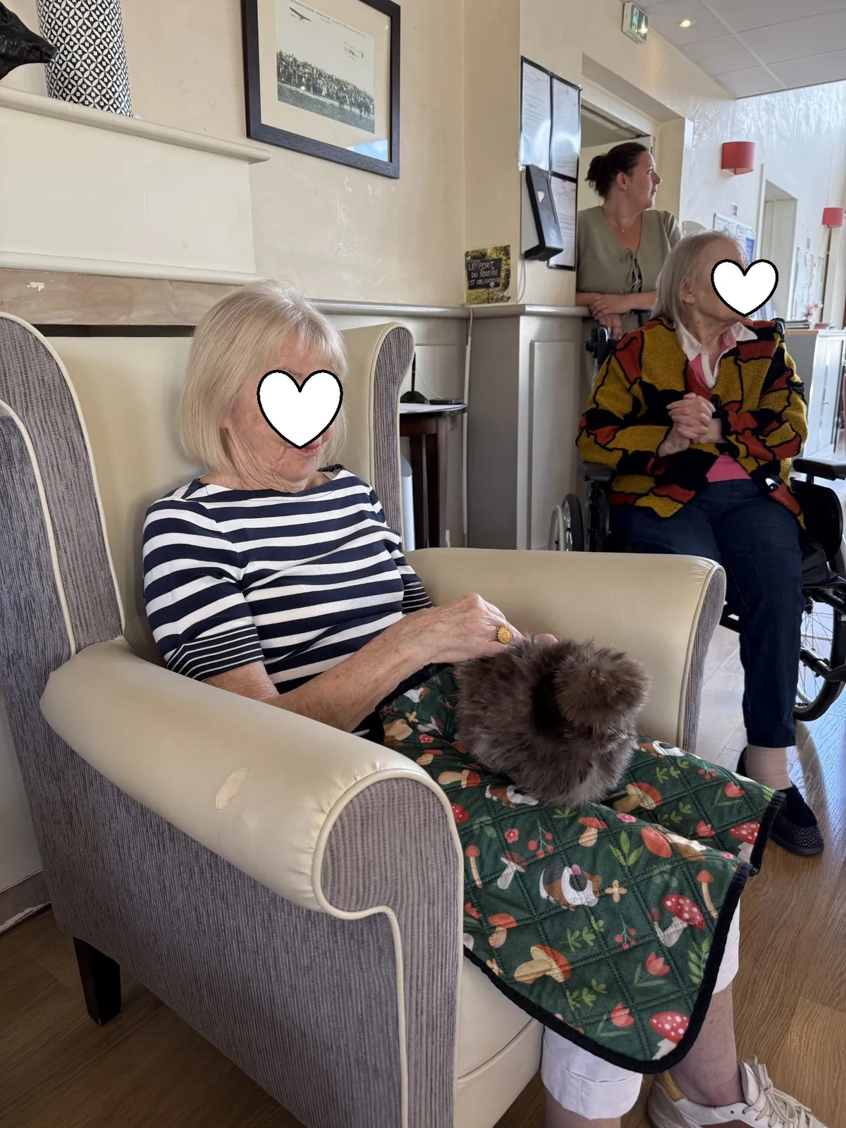 Les compagnons du mieux-être 