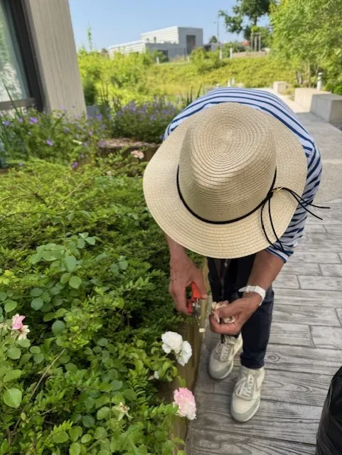 Profiter du jardin des Terrasses de l'étoile.
