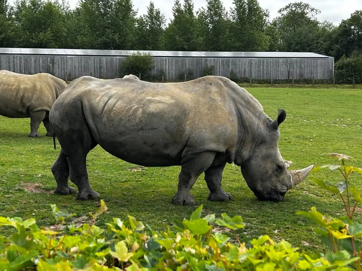 VISITE DU ZOO DE CERZA !