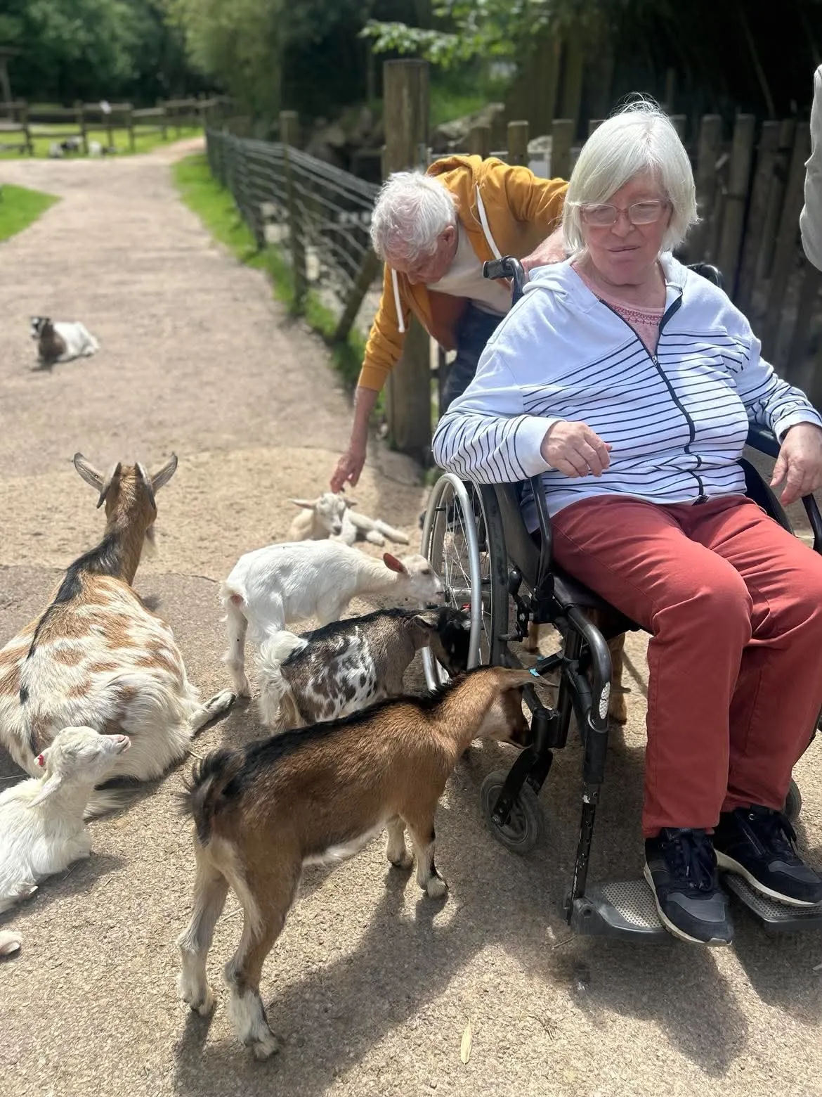 VISITE DU ZOO DE CERZA !