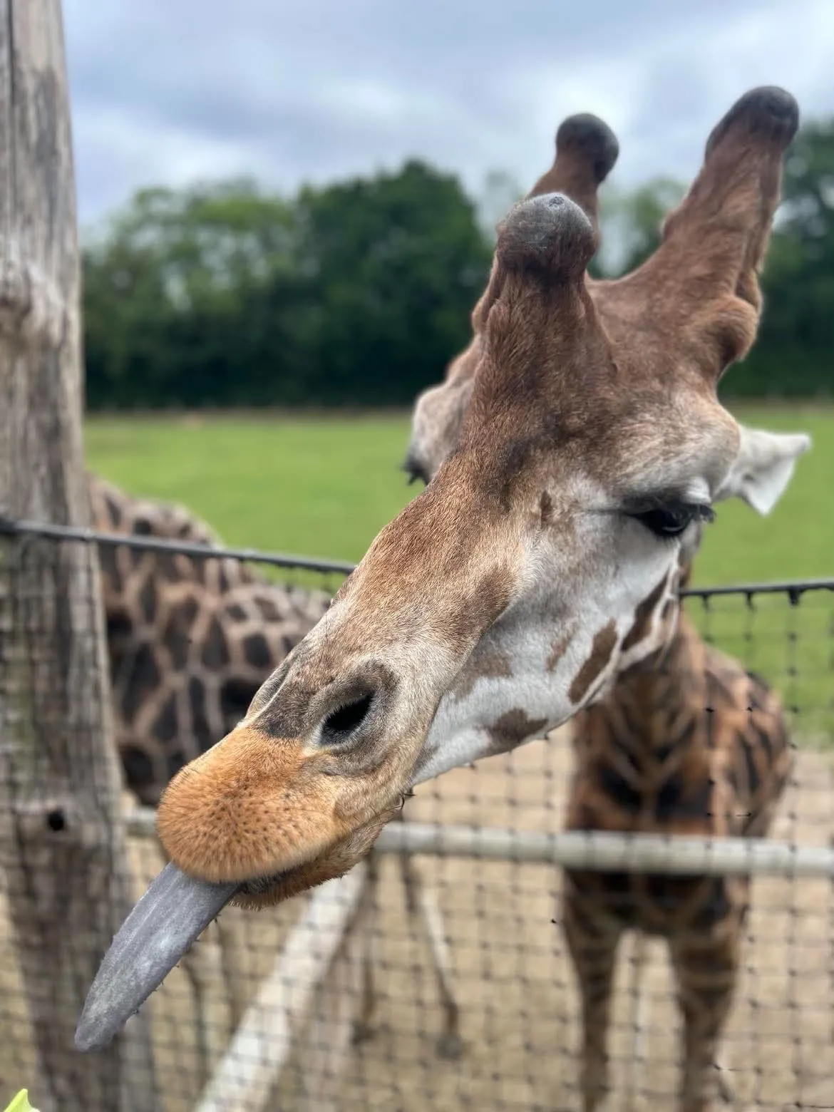VISITE DU ZOO DE CERZA !