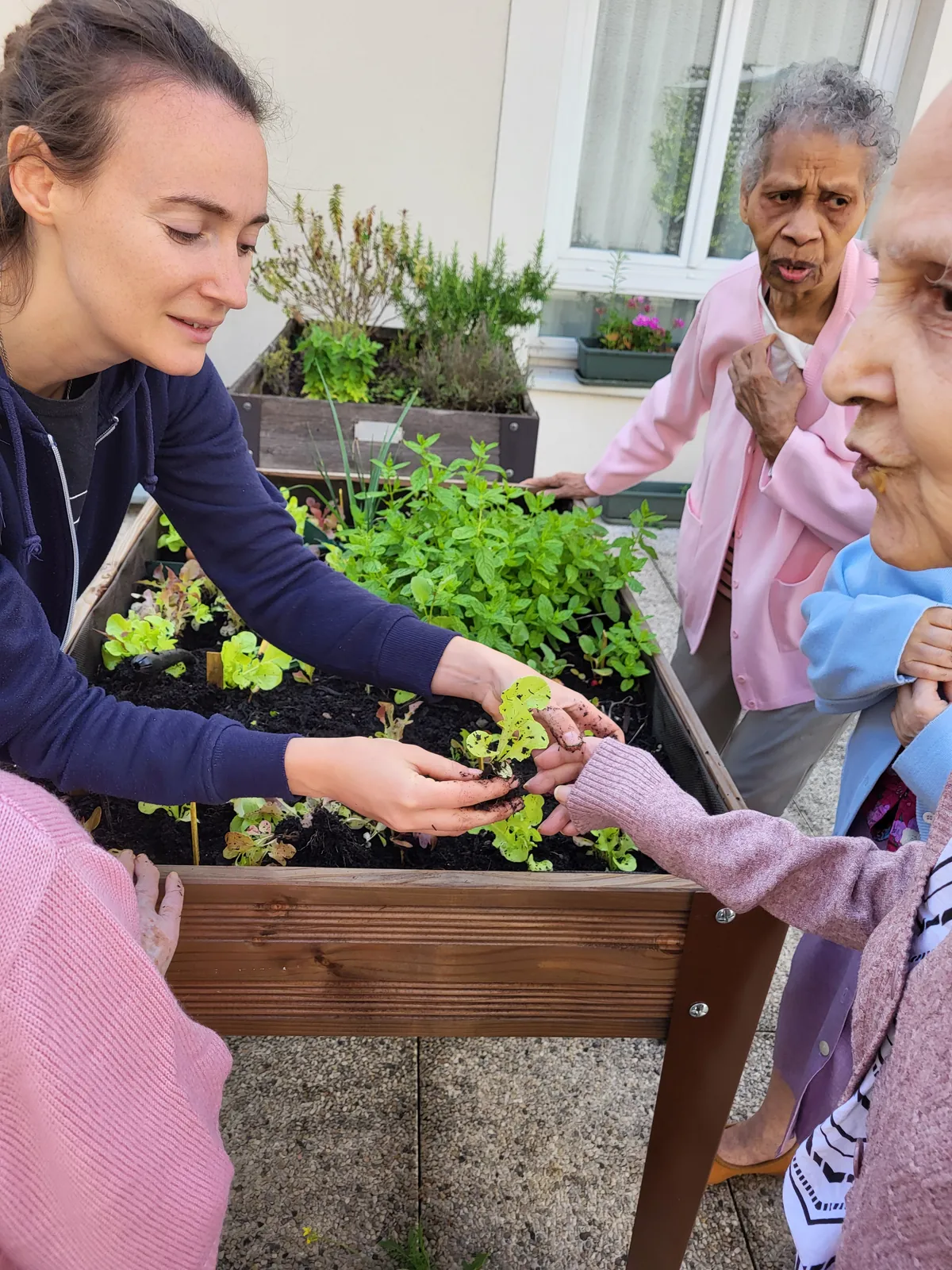 Atelier  jardinage les carottes sauvages à la résidence les Adrets LE 08/07/2025