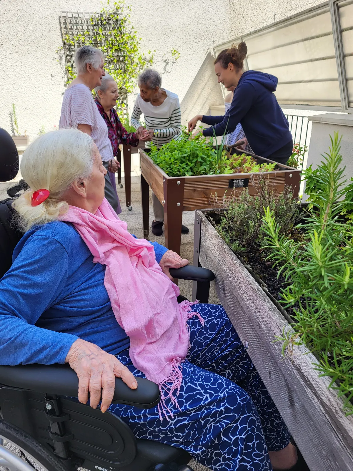 Atelier  jardinage les carottes sauvages à la résidence les Adrets LE 08/07/2025