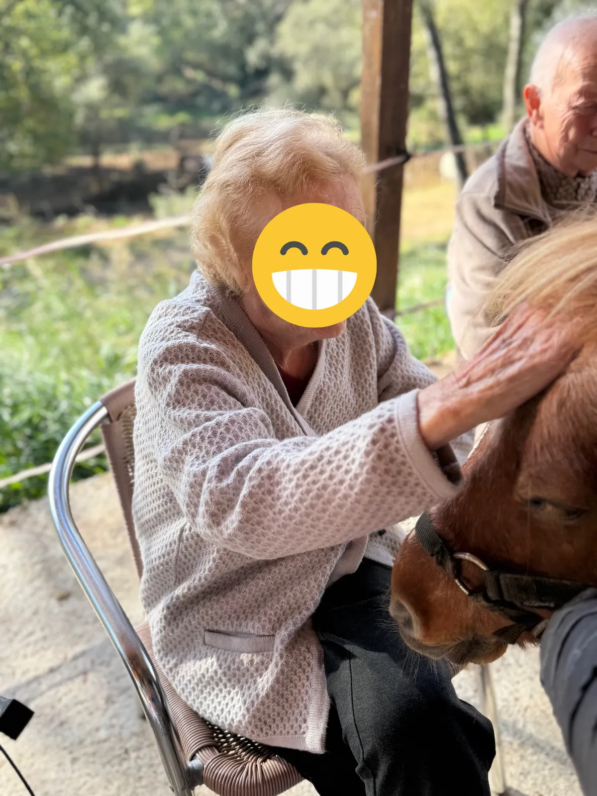 Sortie équithérapie : un moment précieux pour nos résidents