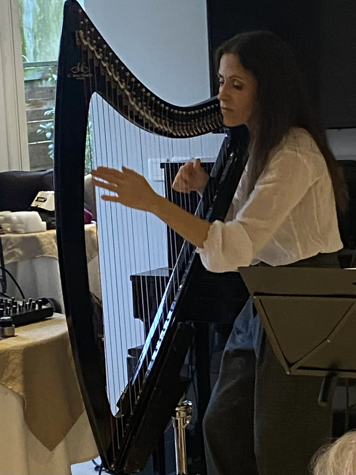 L'UNIVERS MUSICAL DE LEEN ADE AUX MARINES