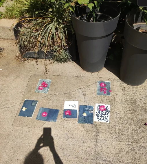 Retour sur l'Atelier Cyanotype avec nos Résidents