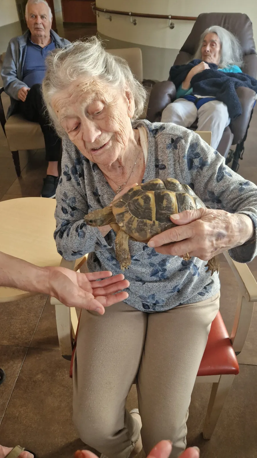 Des tortues aux Jardins du Revest : une rencontre qui éveille la curiosité