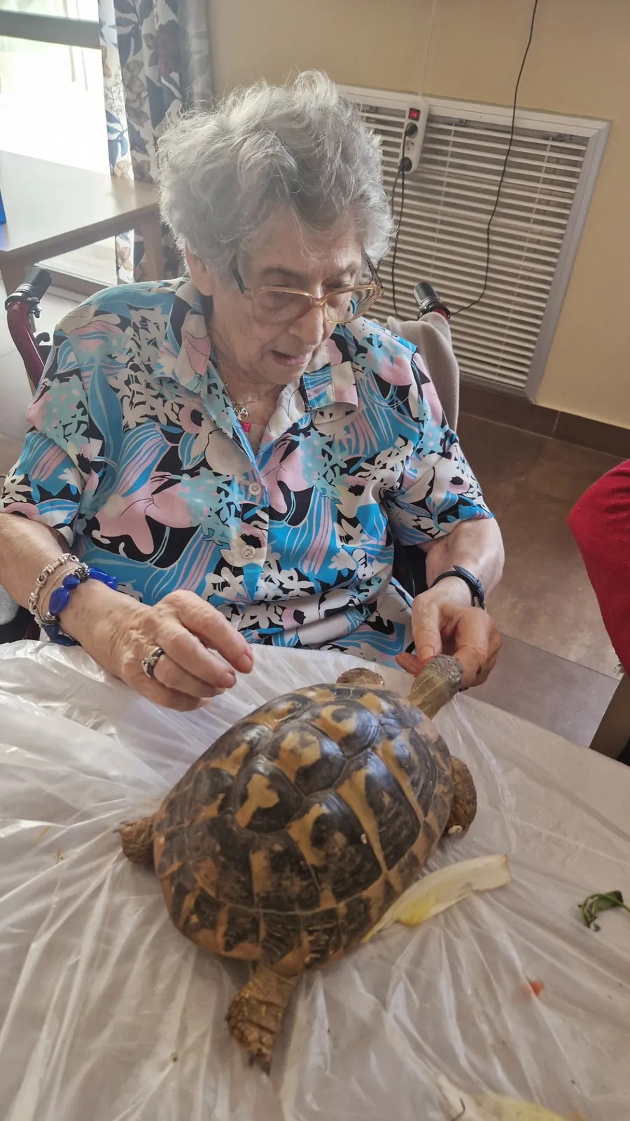 Des tortues aux Jardins du Revest : une rencontre qui éveille la curiosité