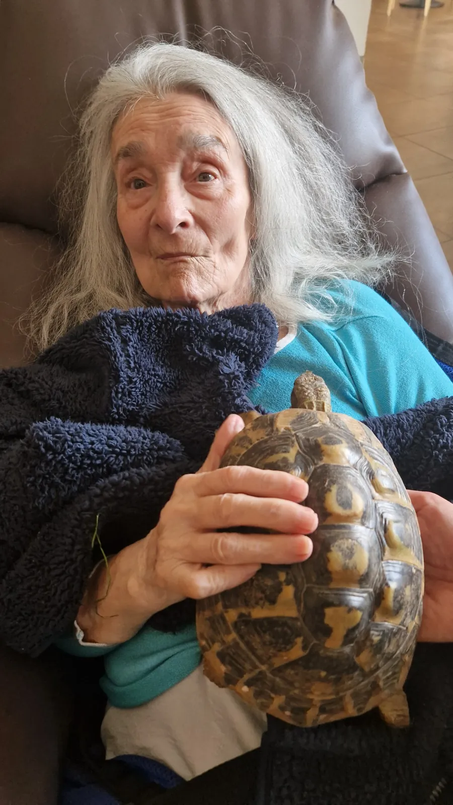 Des tortues aux Jardins du Revest : une rencontre qui éveille la curiosité