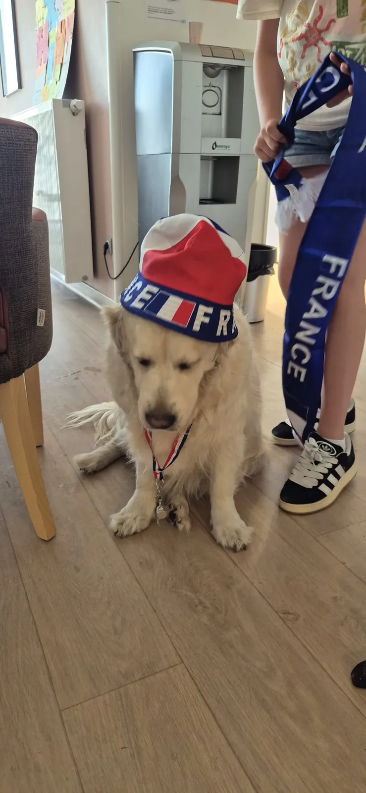 Bleu, Blanc, Rouge… et surtout beaucoup de sourires !