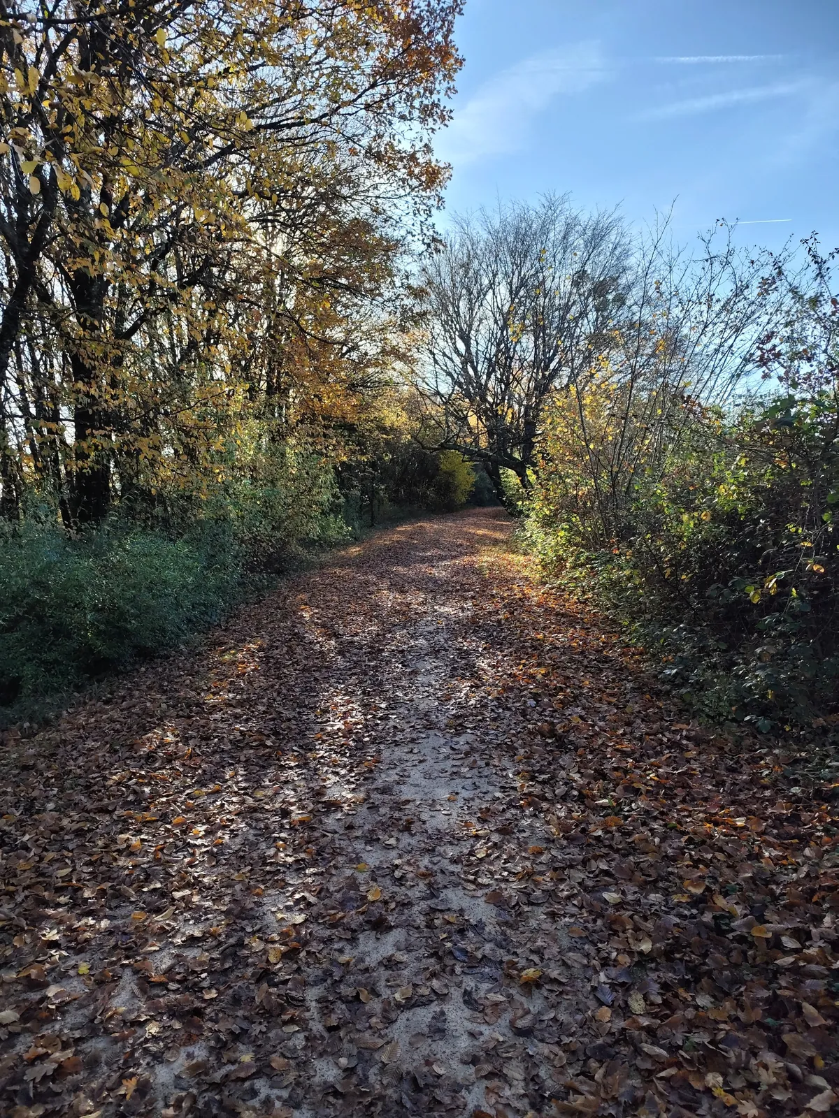 Promenade 