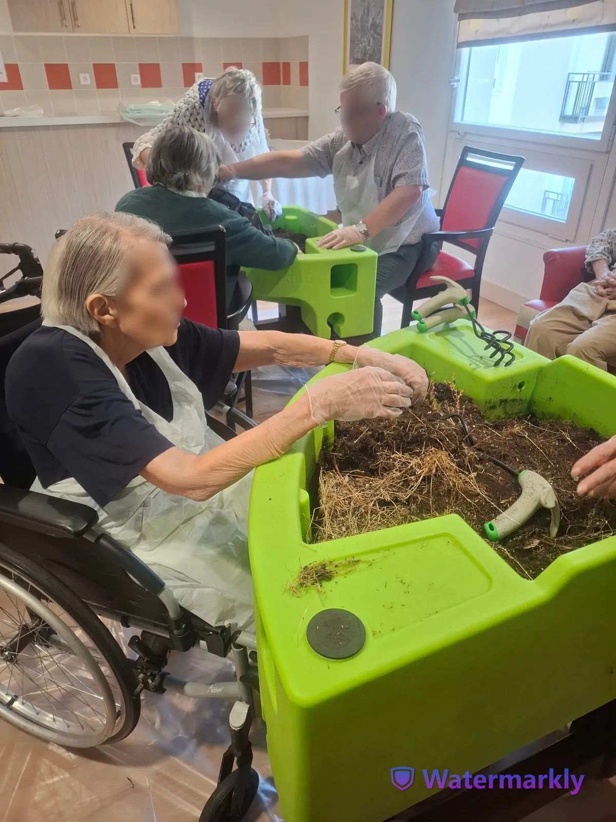 Atelier jardinage : plantation de fleurs et moment de partage pour les résidents