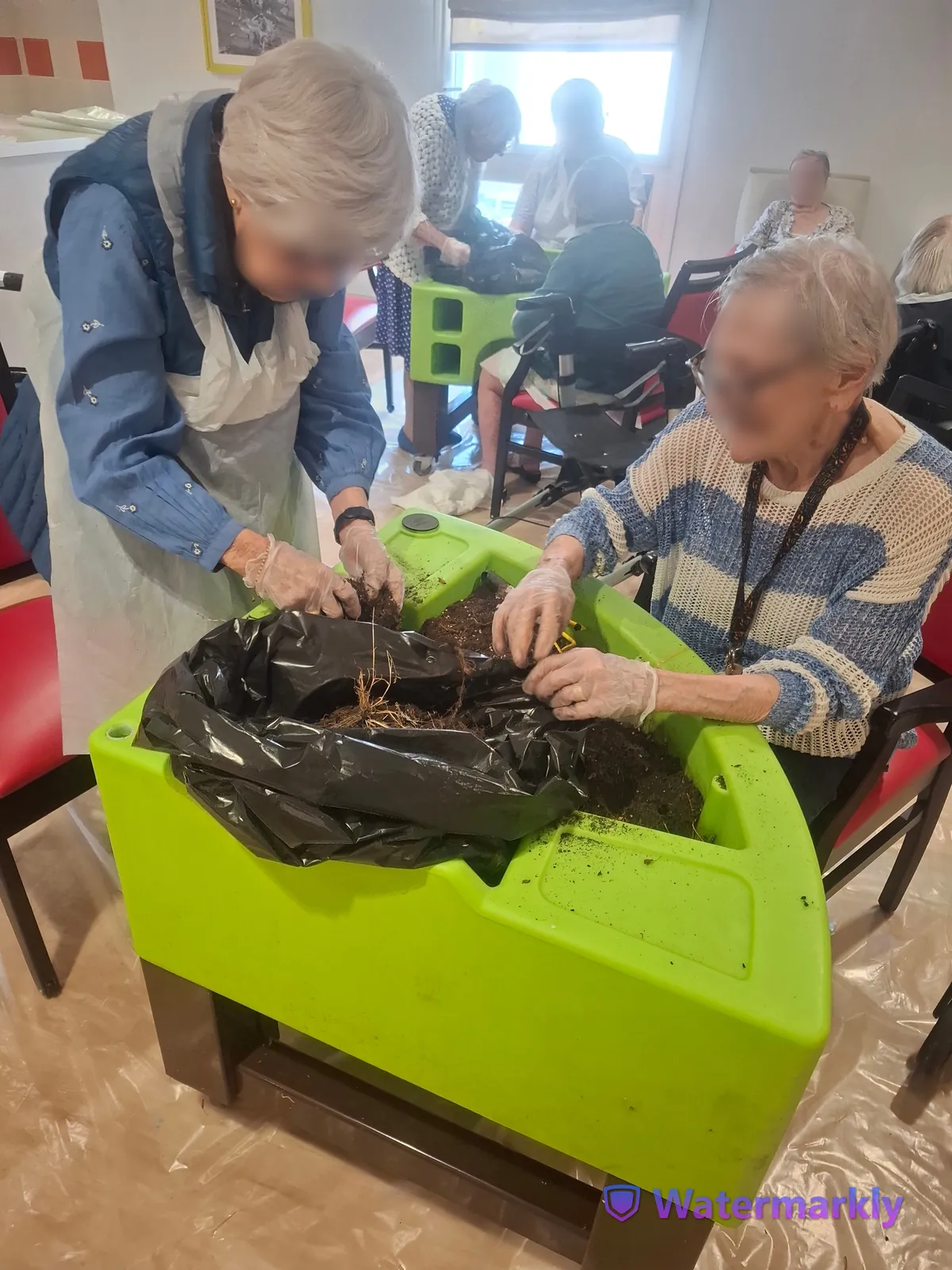 Atelier jardinage : plantation de fleurs et moment de partage pour les résidents