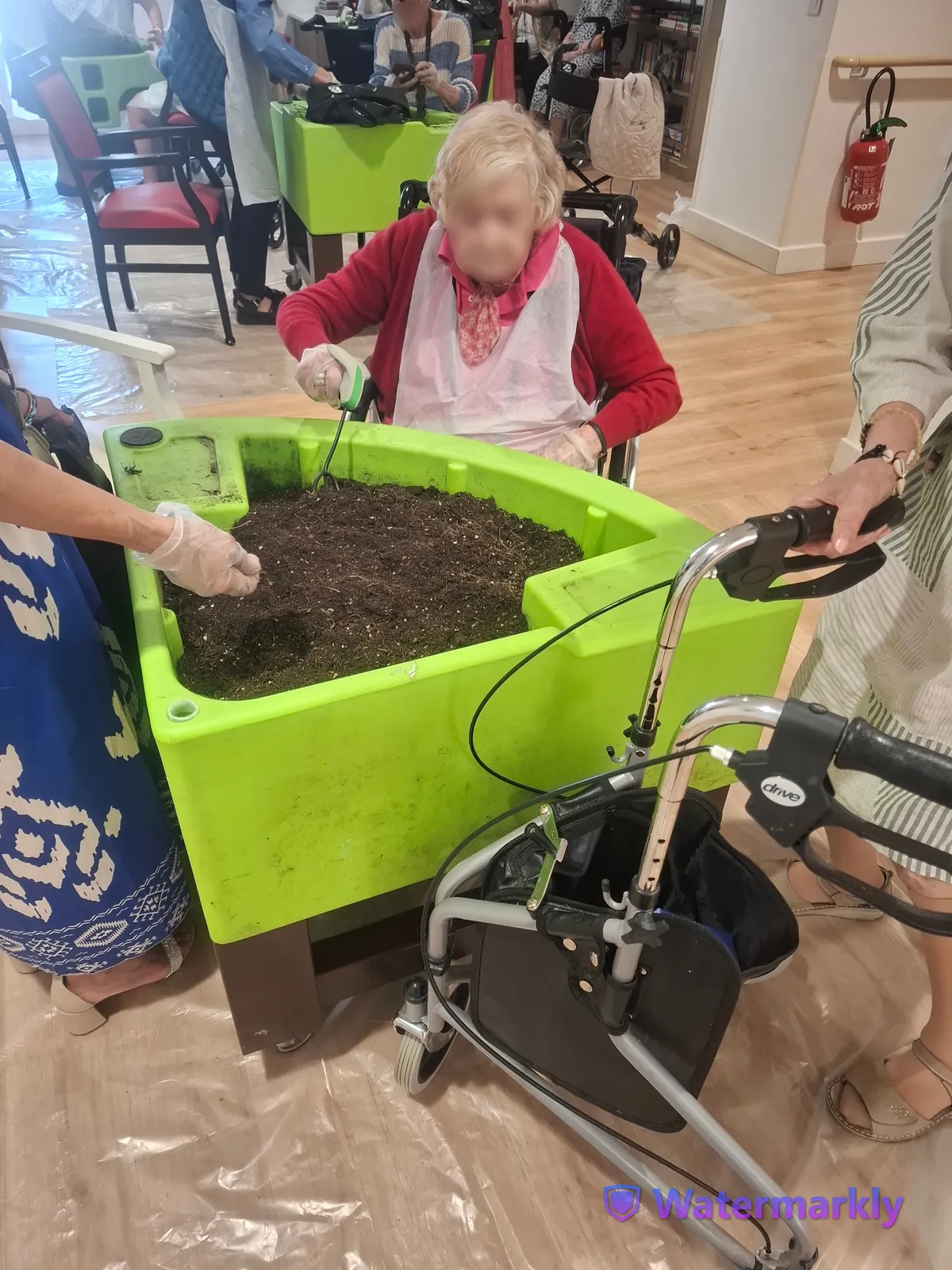 Atelier jardinage : plantation de fleurs et moment de partage pour les résidents