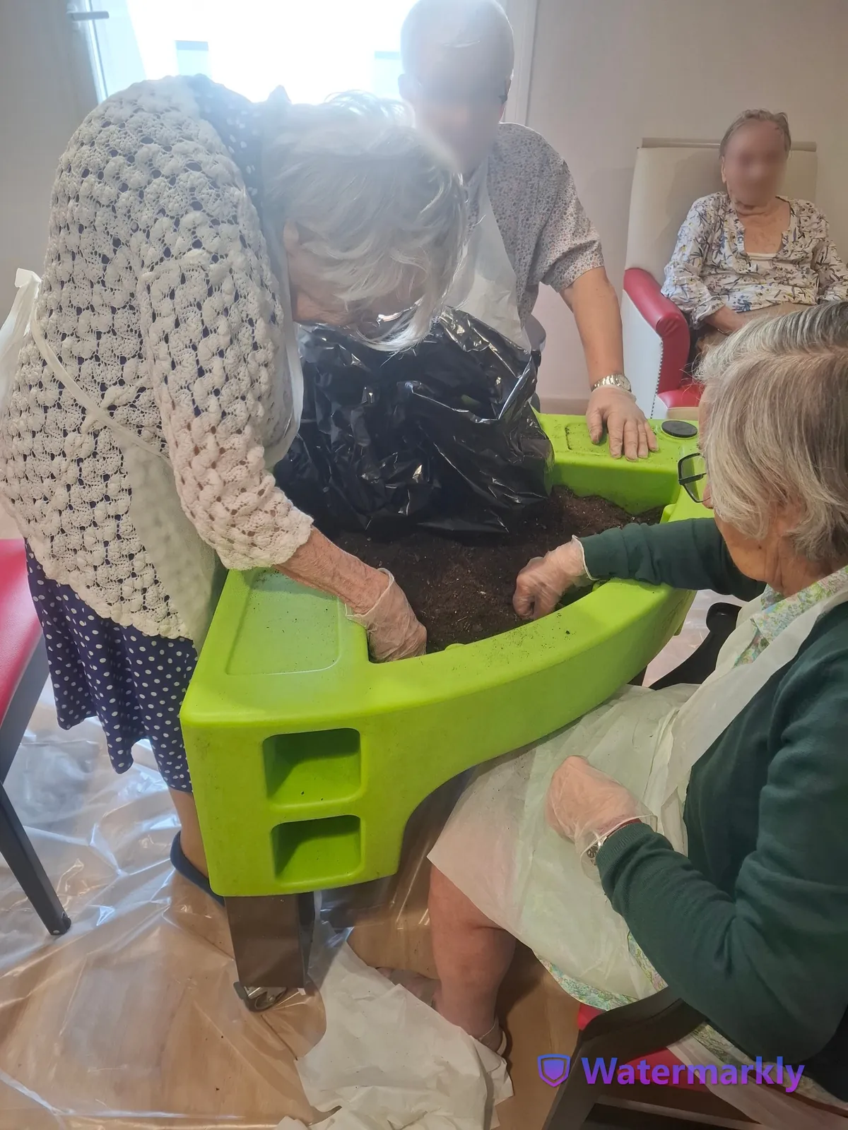 Atelier jardinage : plantation de fleurs et moment de partage pour les résidents