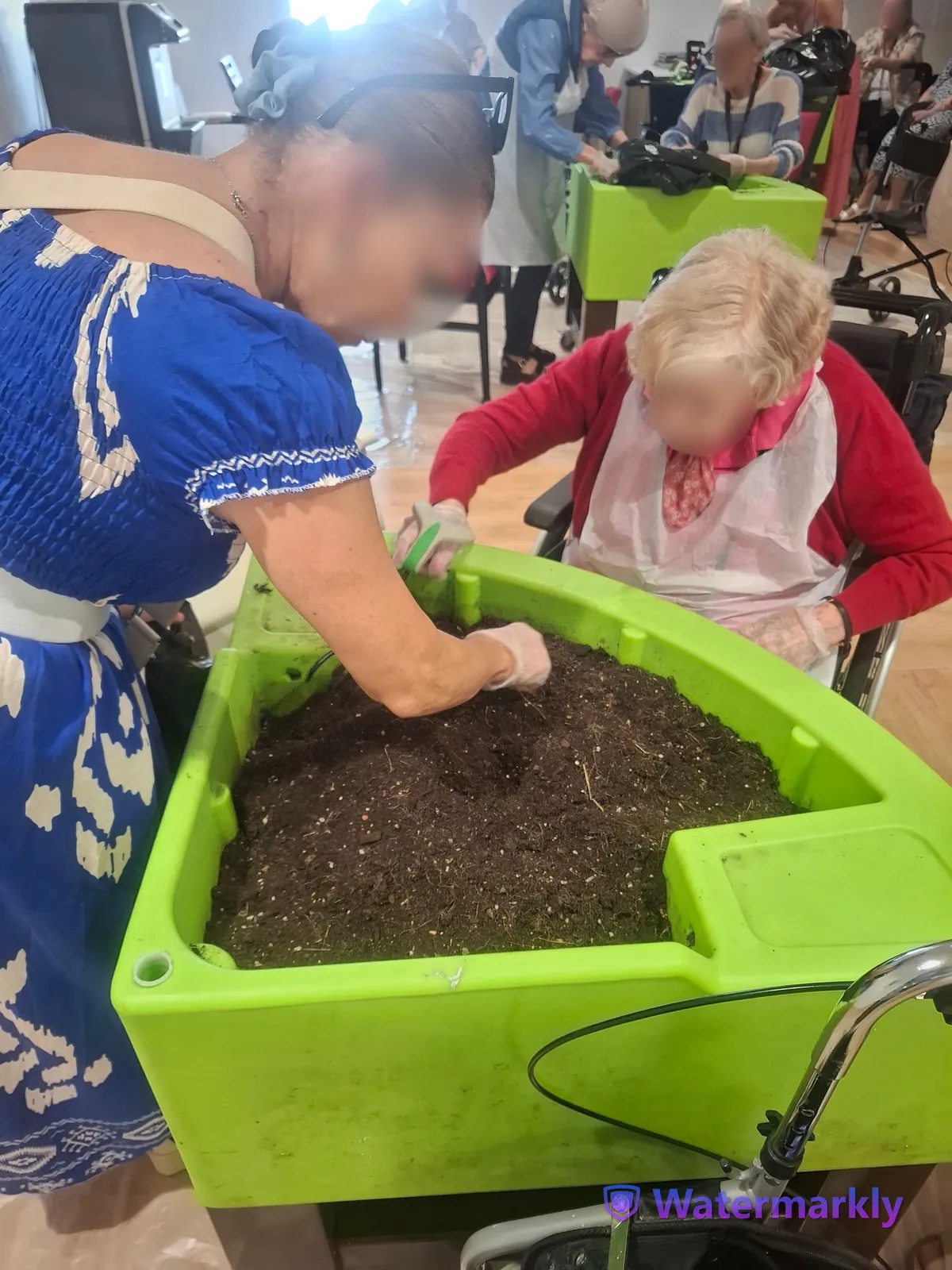 Atelier jardinage : plantation de fleurs et moment de partage pour les résidents
