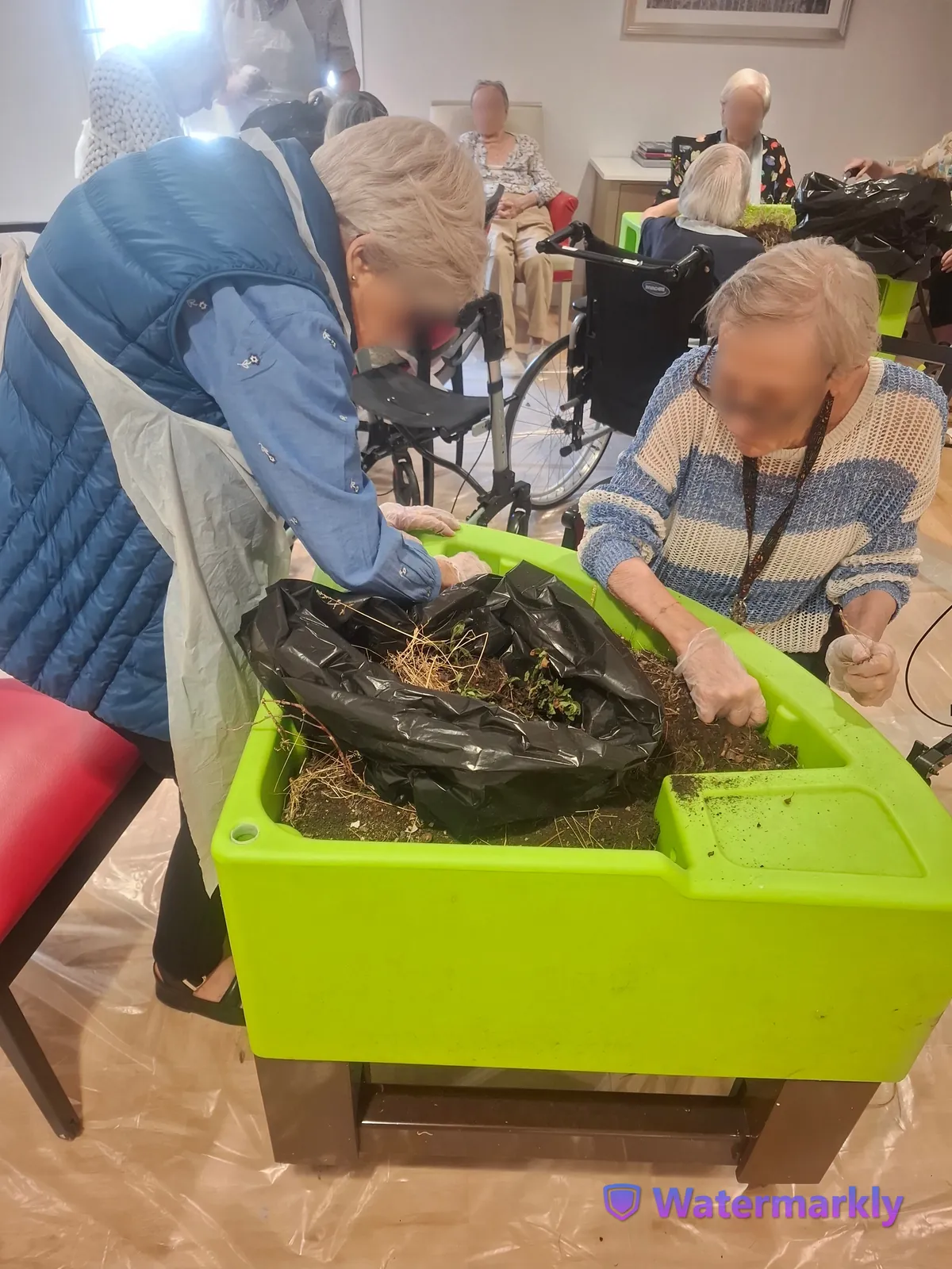 Atelier jardinage : plantation de fleurs et moment de partage pour les résidents