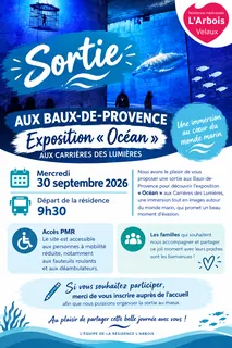  Sortie aux Baux-de-Provence – Exposition « Océan »