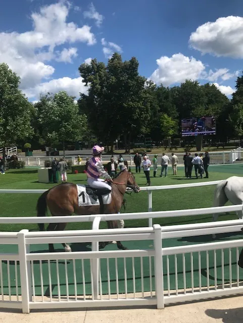 Sortie hippique à l'hippodrome de Chantilly